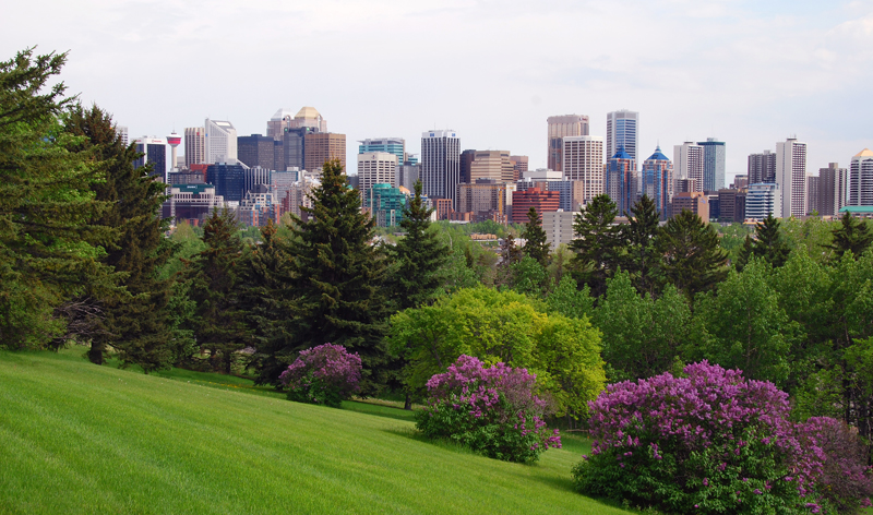 panoramic city view calgary alberta canada vacation packages