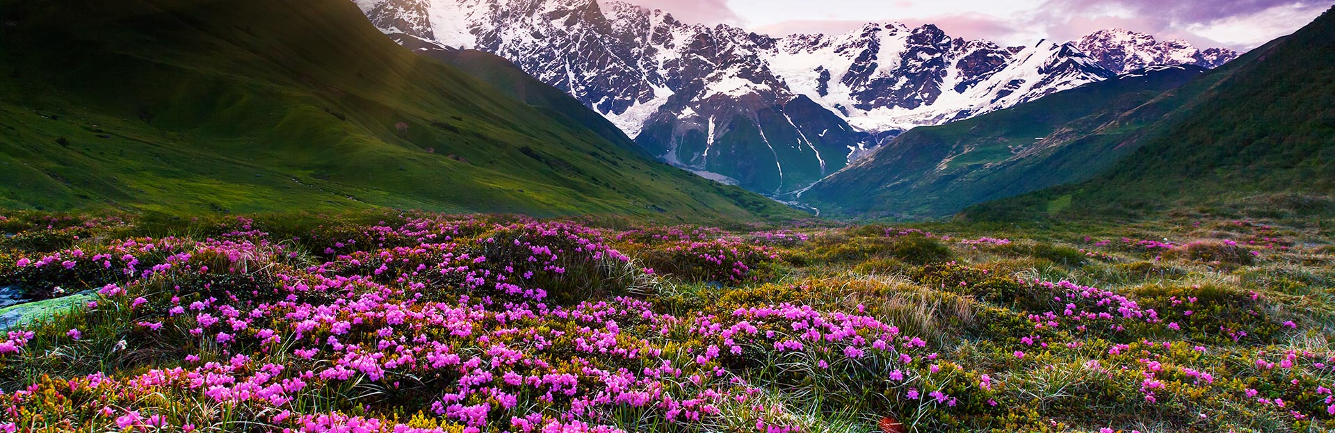Georgia Mountain Range