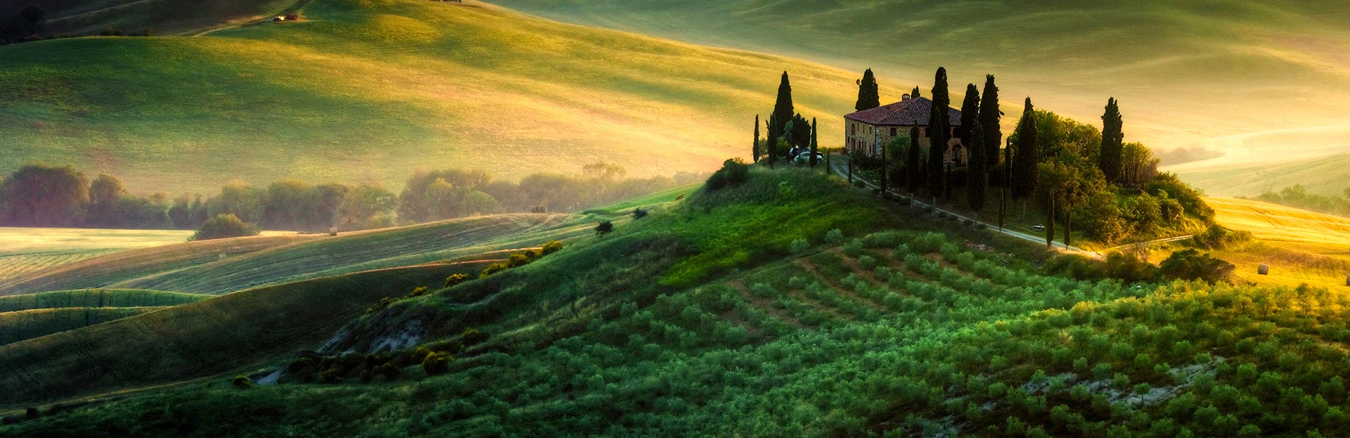 Italy Tuscany Landscape