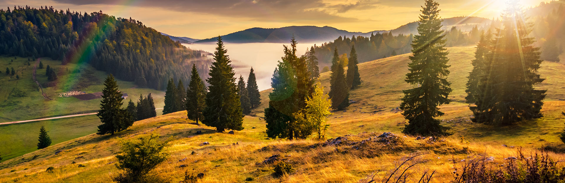 Romania