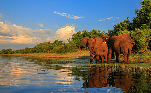 tours-kenya