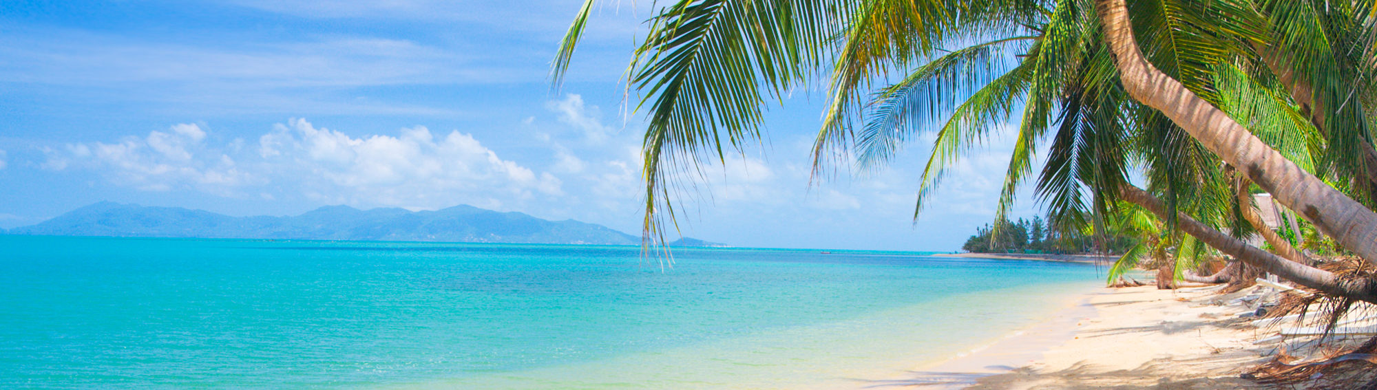 Sun and Cruise Packages from Hamilton