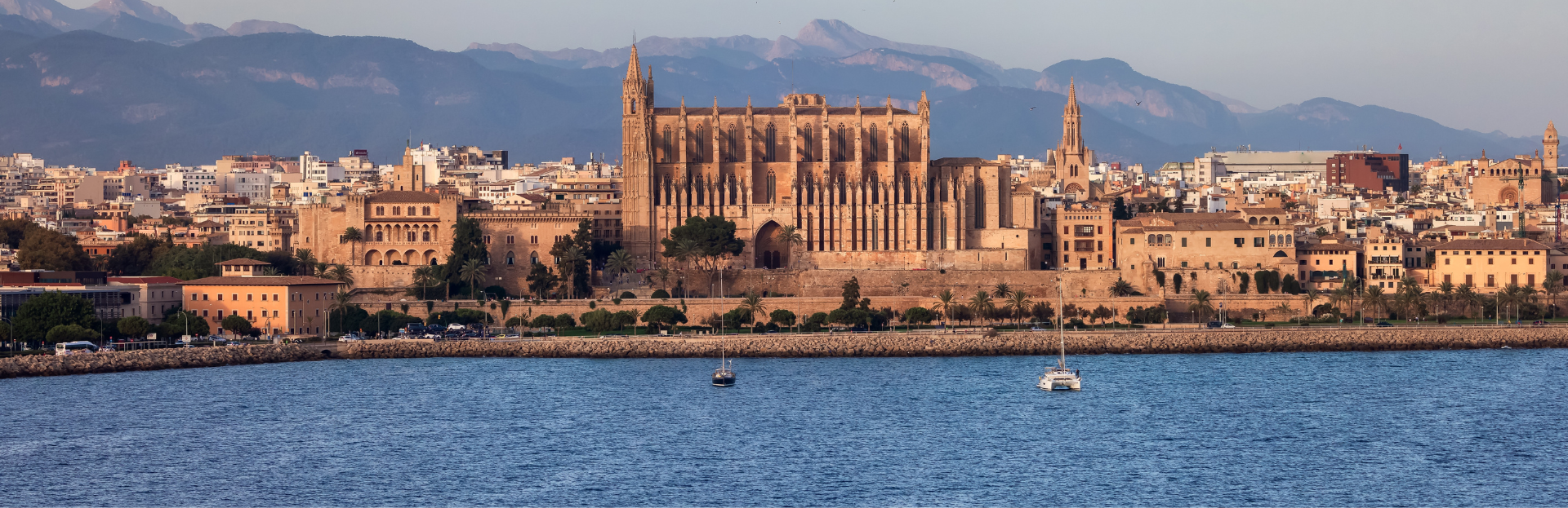 palma de mallorca