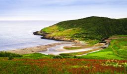 Scenic coastal view - Gander, Newfoundland, Canada