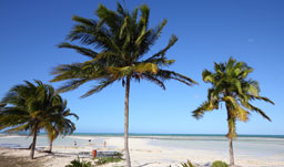 Spectacular beaches - Cayo Coco, Cuba