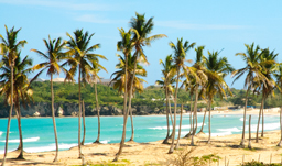 Beautiful tropical beaches - Punta Cana, D.R.