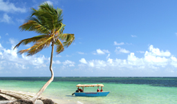 Beautiful tropical beaches - Punta Cana, D.R.