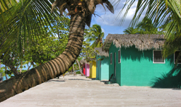 Tropical beach view - Santo Domingo, D.R.