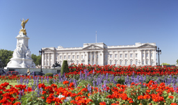 Change of the Guard at Buckingham Palace - London, England, UK