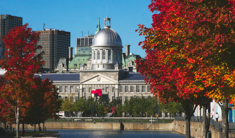 last minute travel deals from montreal