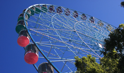 Texas Star ferris wheel at Fair Park - Dallas Fort-Worth, Texas, USA