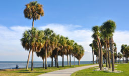 Coast and skyline - St. Petersburg-Clearwater, Florida, USA
