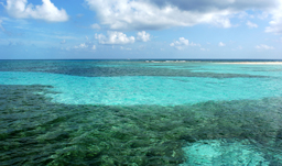 Second largest reef in the world - Belize City, Belize