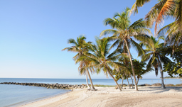 Beach view - West Palm Beach, Florida, USA