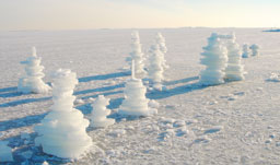Ice Sculptures - Kuopio, Finland