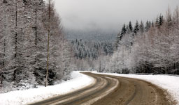 Winter Scene - North Bend, Oregon, USA