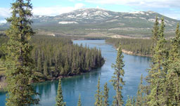 Yukon River - Whitehorse, Yukon Territory, Canada