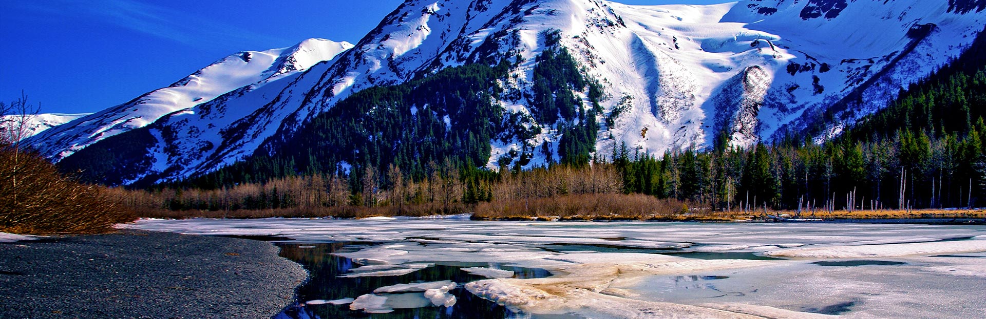 Flights to Alaska from C596 including taxes tripcentral.ca™