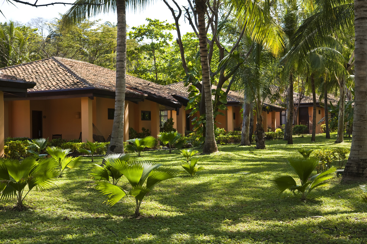 Welcome to Barcelo Playa Montelimar