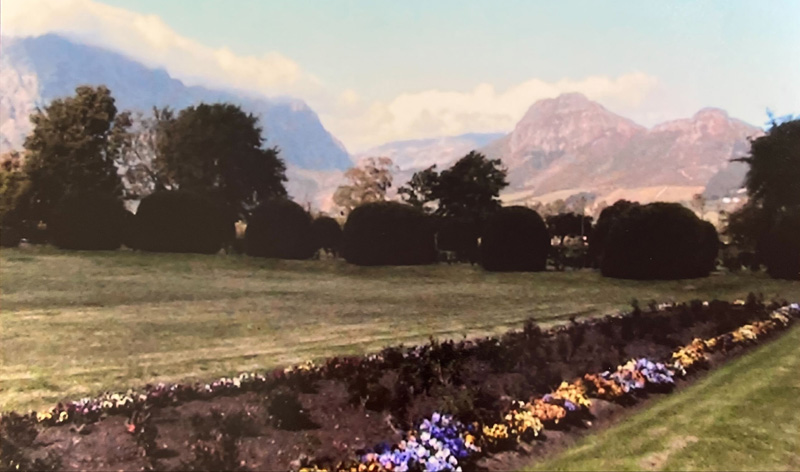 Cape Town, Plateau et Jardin