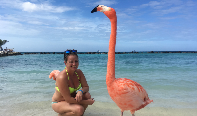 Aruba Flamingos Angelina Pickering