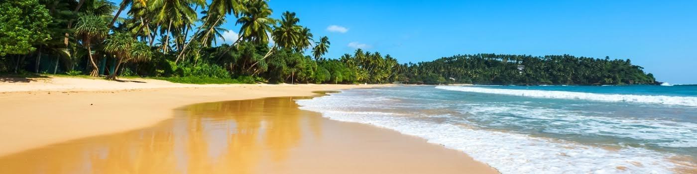 Helping Canadians Book Great Vacations